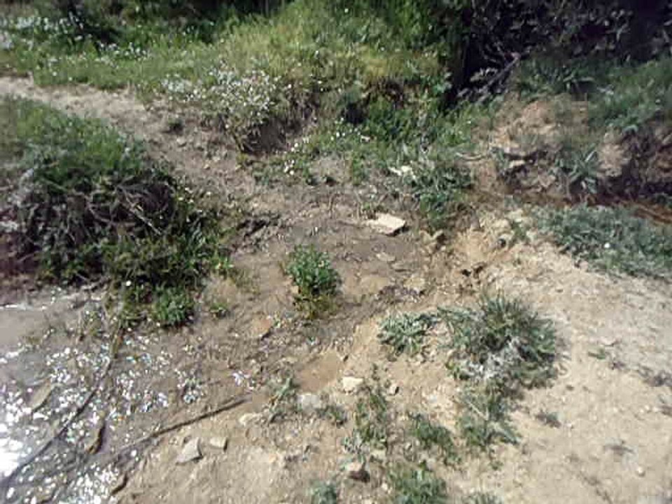Un cours d'eau . جدول ماء