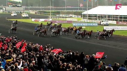 Courses : l'histoire de l'étalon à la semence en or