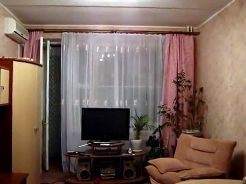 Коты ловят летучую мышь по квартире