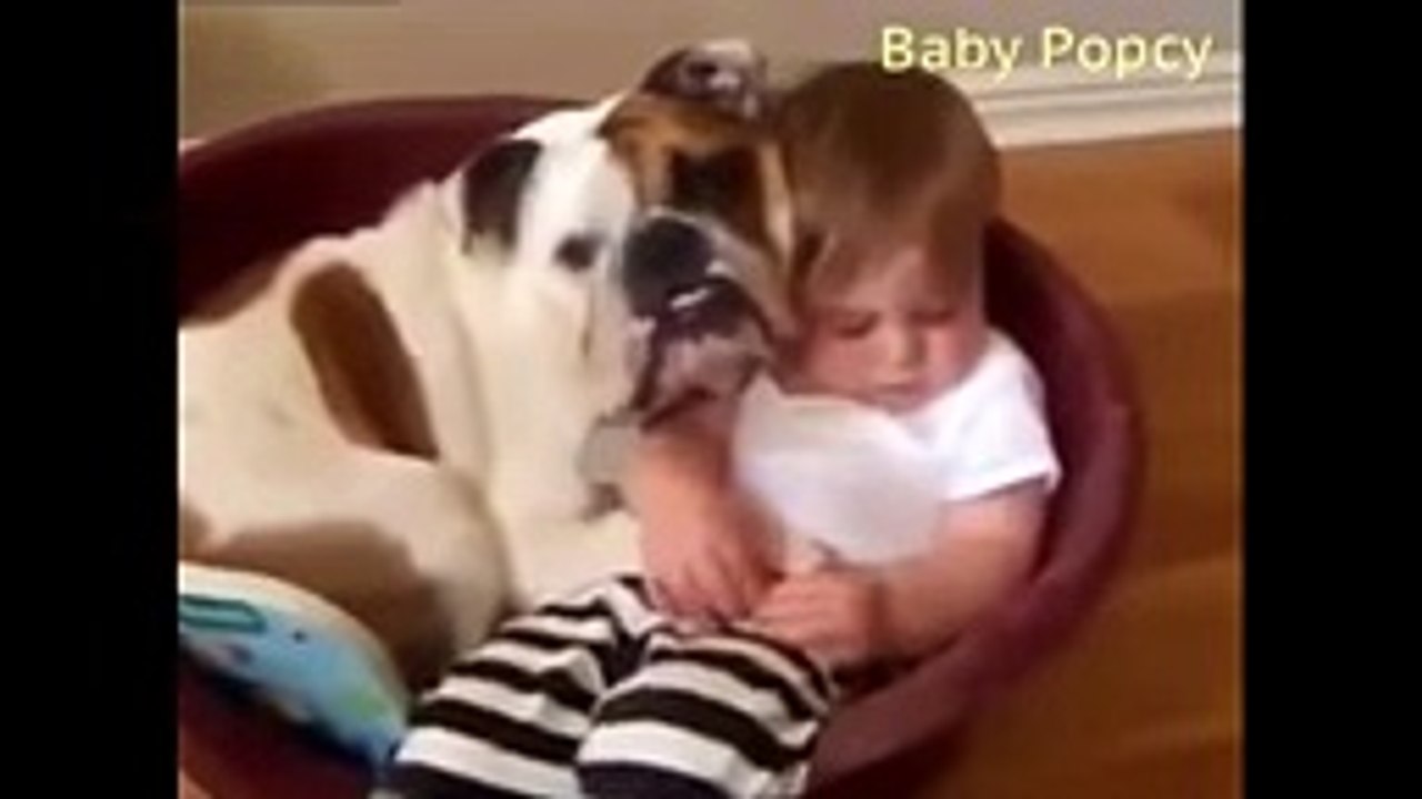 Funny Baby And Dog-