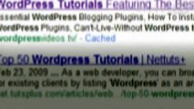 SEOPressor WordPress SEO Plugin - Secret Google #1 Ranking Plugin That I USE!