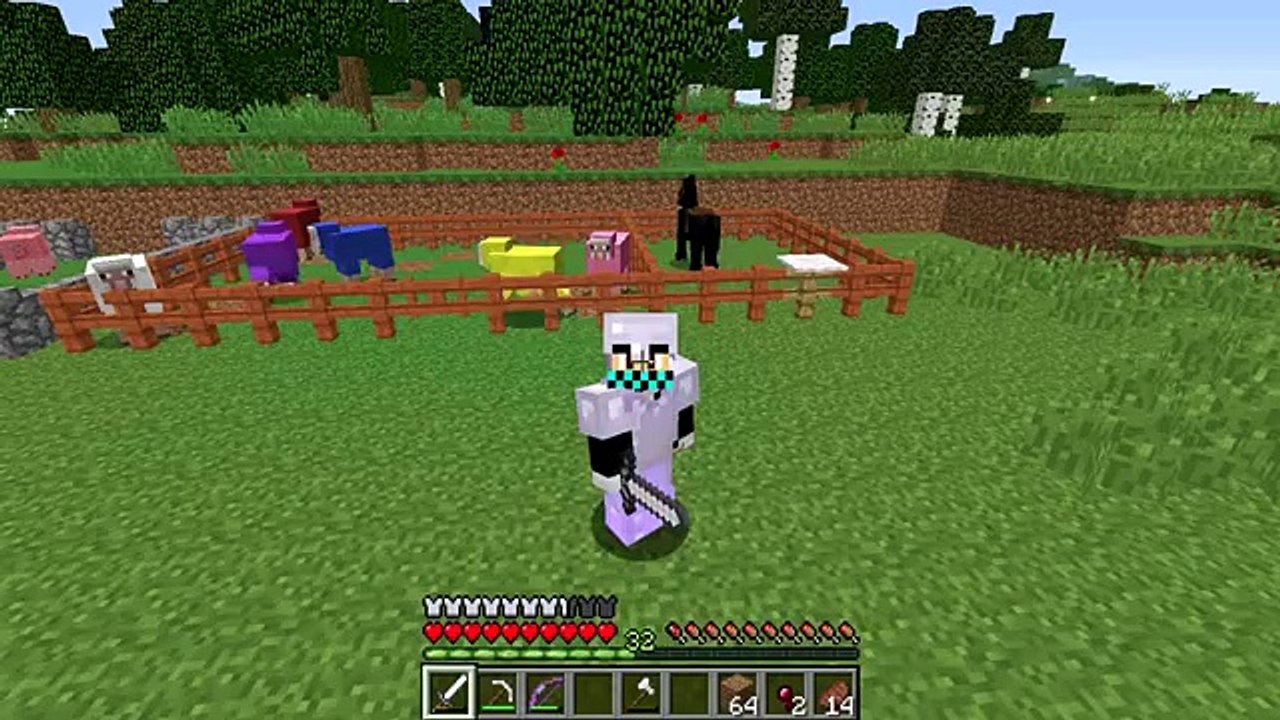 Minecraft Survival S2 20 - Building a Chicken Coop With Derping