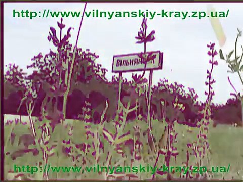 Зимненская икона Божьей Матери в Вольнянском храме