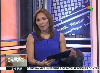 Brasil pugna por una estrategia contra el virus del Zika en AL