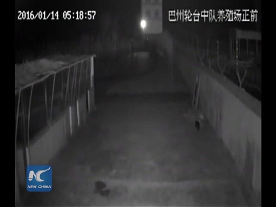 CCTV: Shallow earthquake hits Xinjiang, China  Historical Earthquakes