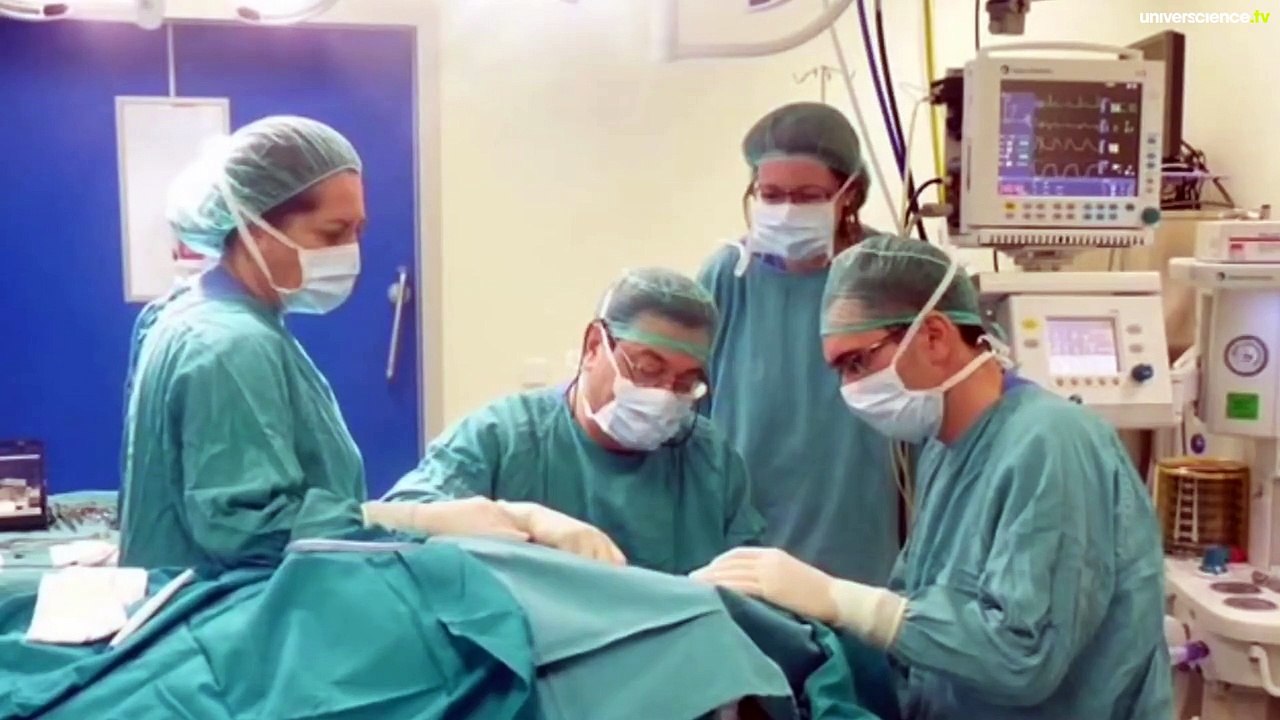 A propos de la 9ème planète du Système solaire