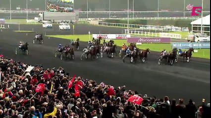 Grand Prix d'Amérique : L'histoire de l'étalon à la semence en or !