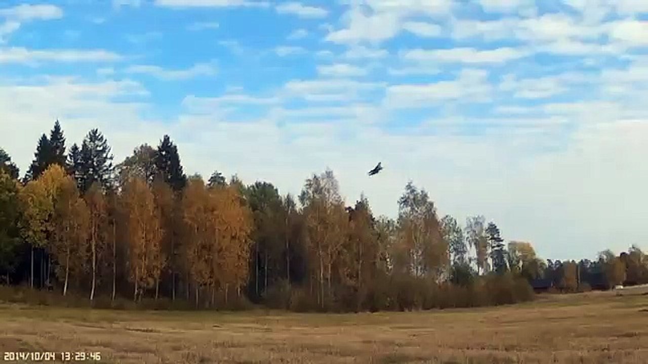 Sukhoi- 30 RCpowers. Diff thrust 3s Aerobatic practice