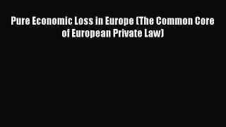 Pure Economic Loss in Europe (The Common Core of European Private Law)  Free Books