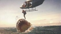 Real Megalodon Sightings! - World's Largest Sharks Ever Proofs