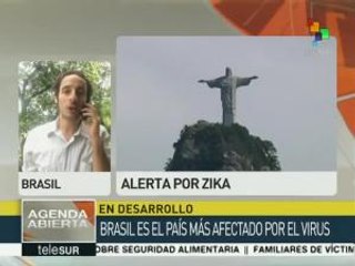 Download Video: Brasil registra 270 casos de microcefalia relacionados con virus zika