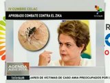 Brasil pugna por una estrategia contra el virus del Zika en AL