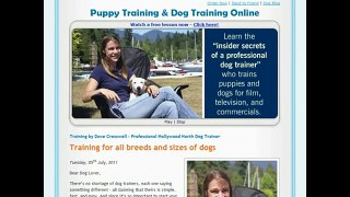 Dove Cresswells Dog Training Online Reviews-Know What's Good And Bad