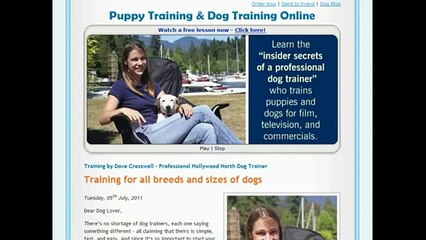 Dove Cresswells Dog Training Online Reviews-Know What&#39;s Good And Bad