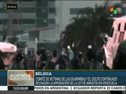 Víctimas de las Guarimbas rechazan ley de amnistía ante eurodiputados