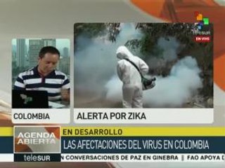 Colombia: casos de contagio por el virus Zika podría subir a 600 mil