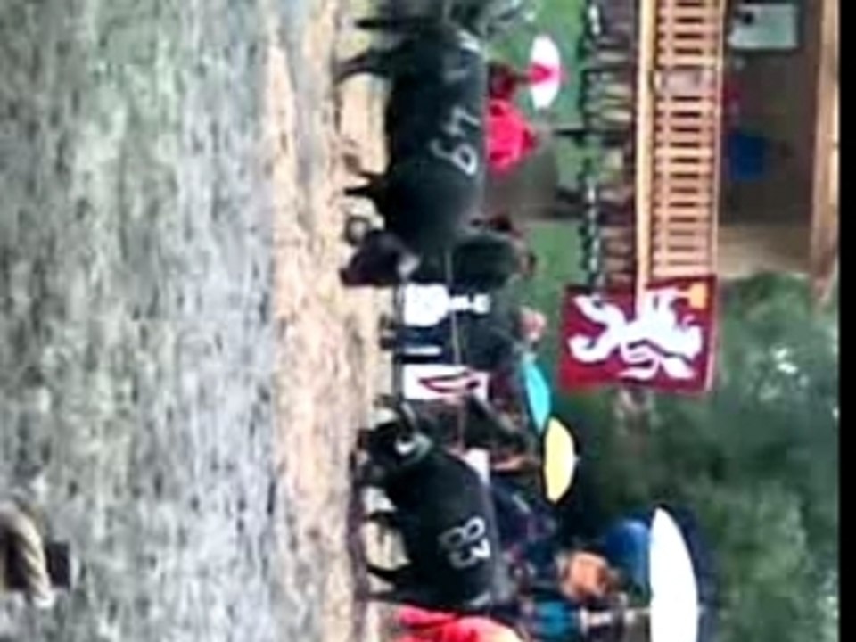 Reine aproz 2007