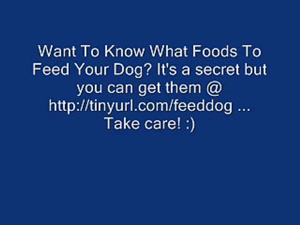 Dog Food Secrets - What To Feed Your Lovely Dog!