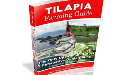 Best Tilapia Farming Guide