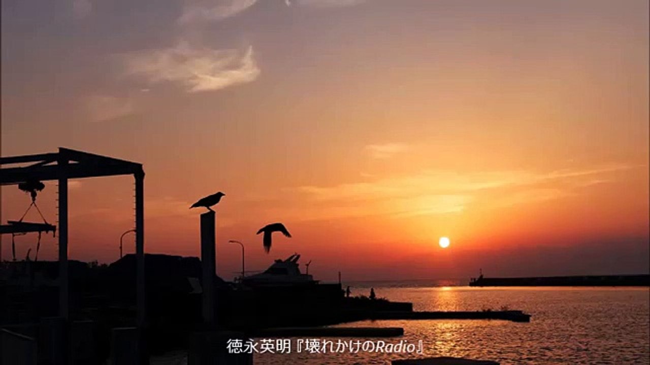 徳永英明 / 壊れかけのRadio