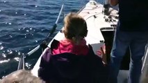 Avvistano in mare un cucciolo di Labrador che sta annegando: il salvataggio di toglierà il fiato!