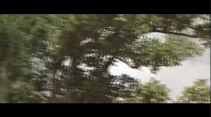 인터넷바카라☎KOP77,COM◈피나클 주소㉿사설토토사이트추천