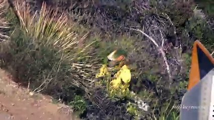 Motorcycle Crash - Rider Thrown Over Guardrail on Mulholland Hwy