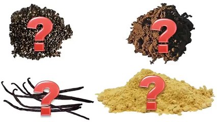 Lizz Swann Miller&#39;s Red Smoothie Detox Factor