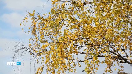 Реки среднего Урала