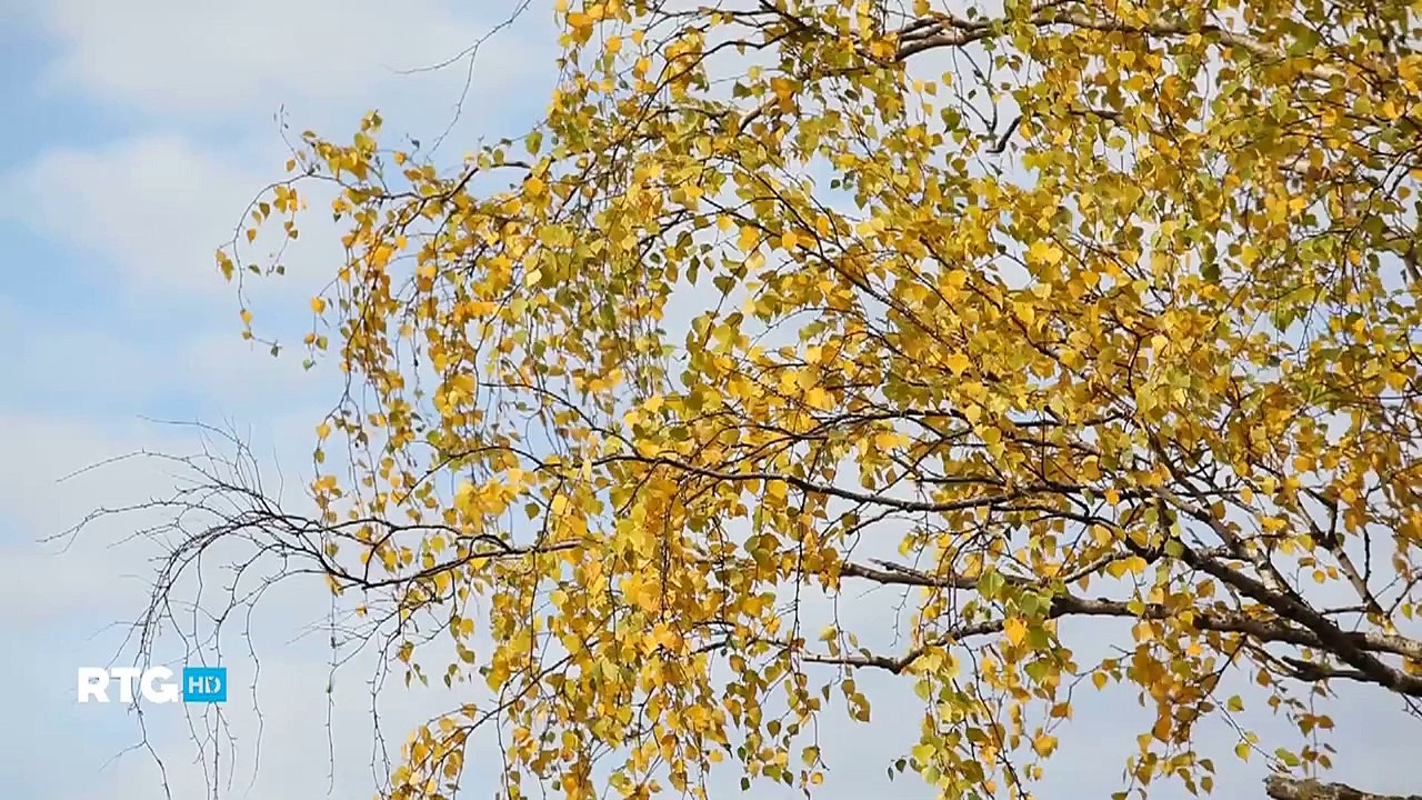 Реки среднего Урала