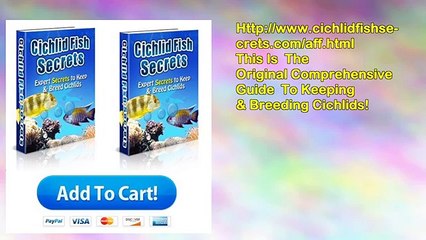 Cichlid Fish Secrets