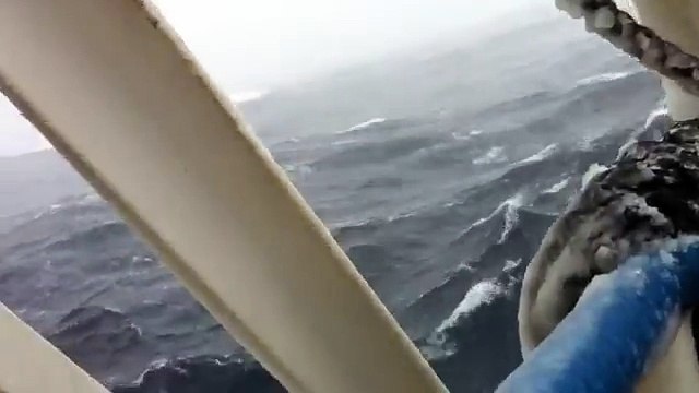 Перевозка машин с Японии в Россию