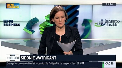 La Minute Verte: L'industrie des renouvelables peut-elle être rentable sans subvention ? - 29/01