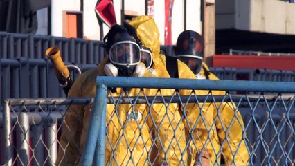 WHO schlägt Alarm wegen Zika-Virus