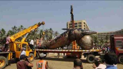 Una ballena de 10 metros aparece muerta en una playa de Bombay