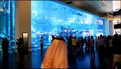 Dubai Aquarium & Underwater Zoo