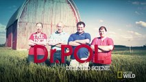 Dr. Emilys Dairy Swing Plunge | The Incredible Dr. Pol: Polments