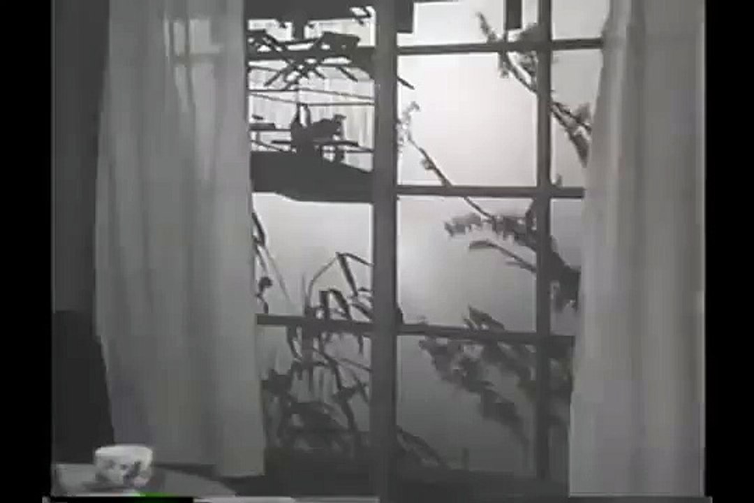 1934年 婦系図（をんなけいづ）2