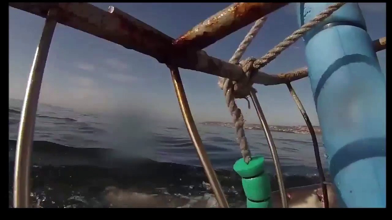 video 24