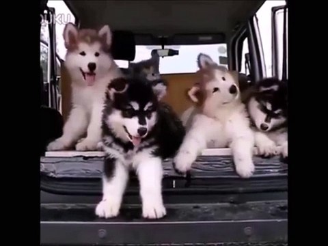 Воздух На высоком берегу