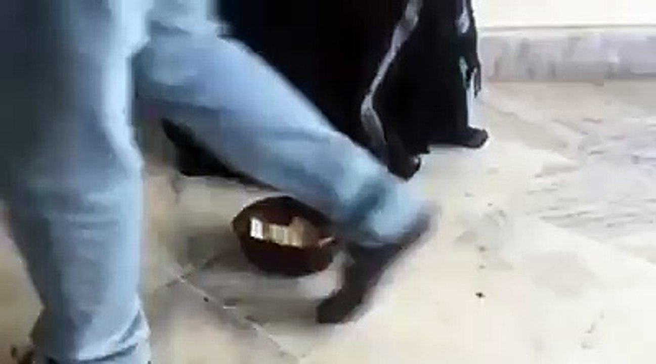Funny video in Pakistan
