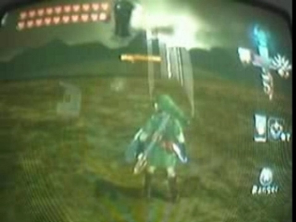 Zelda bug