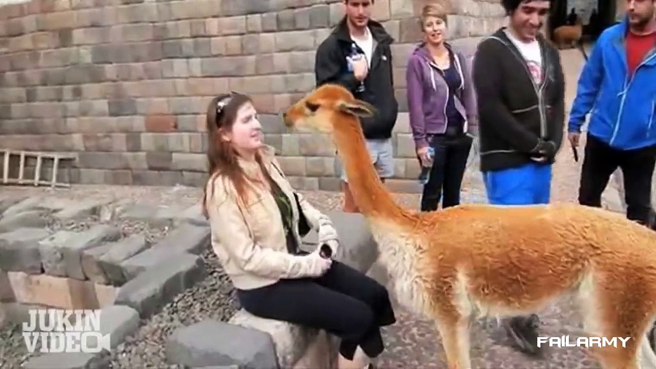 Fail Compilation of the Month September 2012 | FailArmy