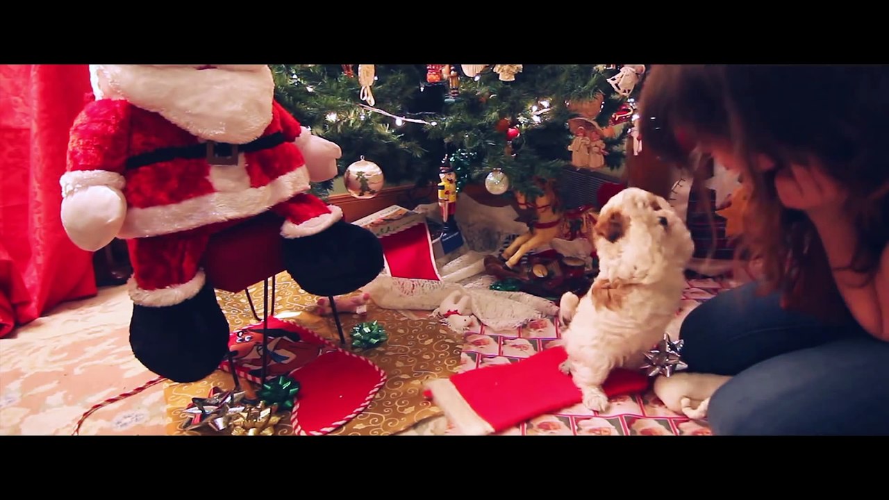 Puppy s First Christmas