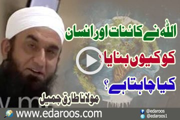 Allah Ne Kainat Aur Insan Ko Keun Banaya By Maulana Tariq Jameel