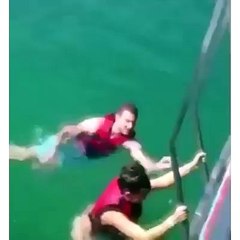 Tacizci Yunus Balığı