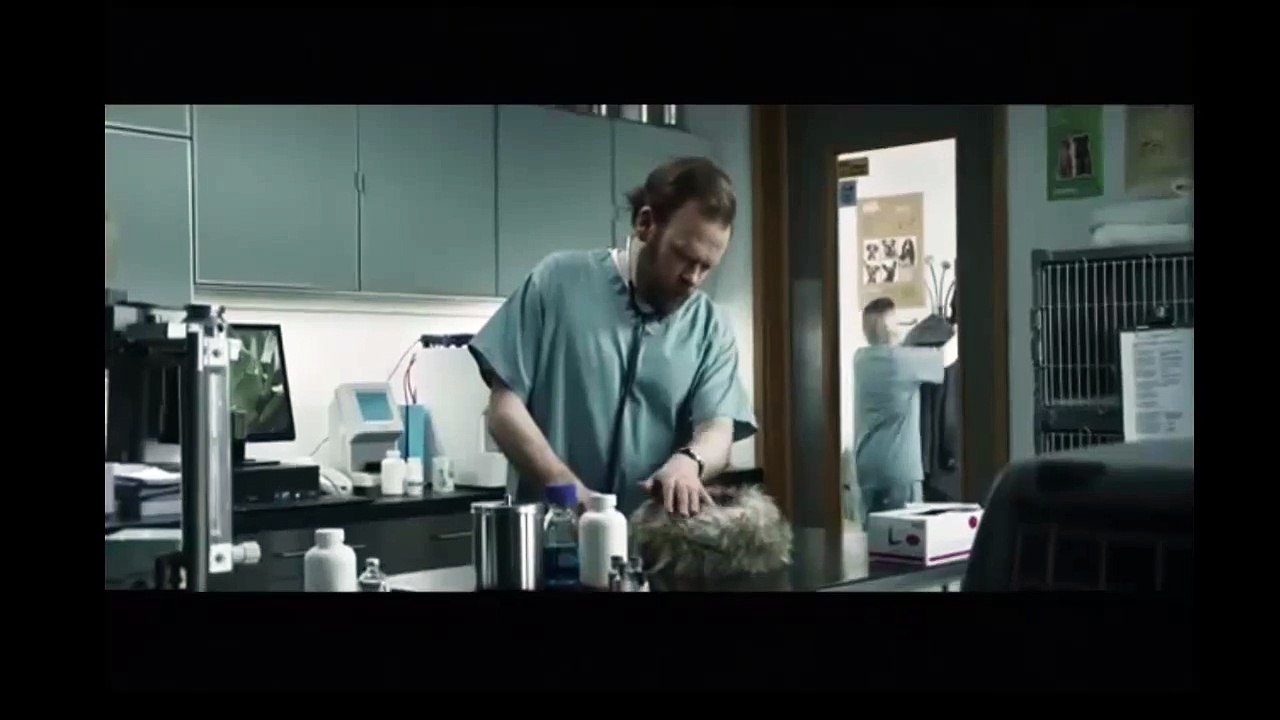 video 13