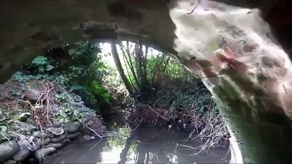 Real Alien found in sewer [ILLEGAL FOOTAGE]