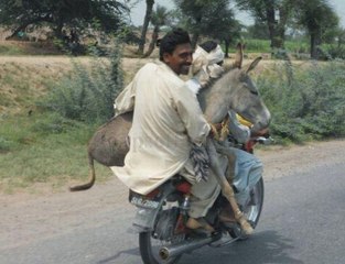 Epic Motorbike FAILS Compilation ★ 2016 Fail Compilation ★ Funny Dose