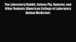 The Laboratory Rabbit Guinea Pig Hamster and Other Rodents (American College of Laboratory